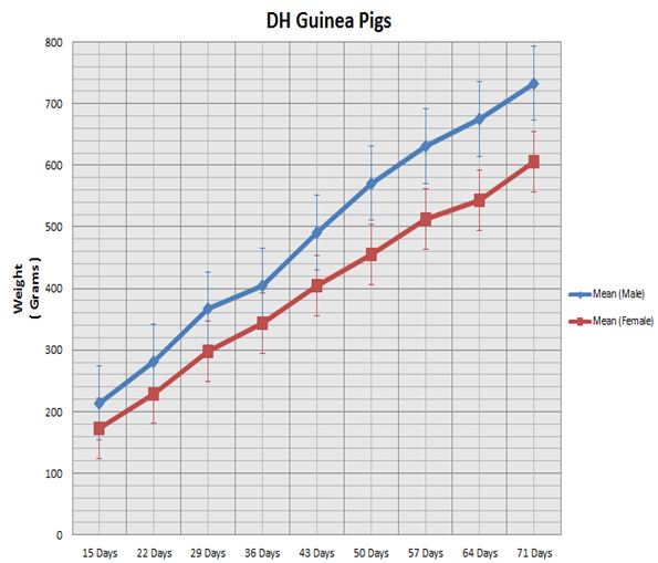 Guinea Pig Weight Chart