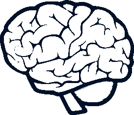 Biospecimen Brain Outline Icon